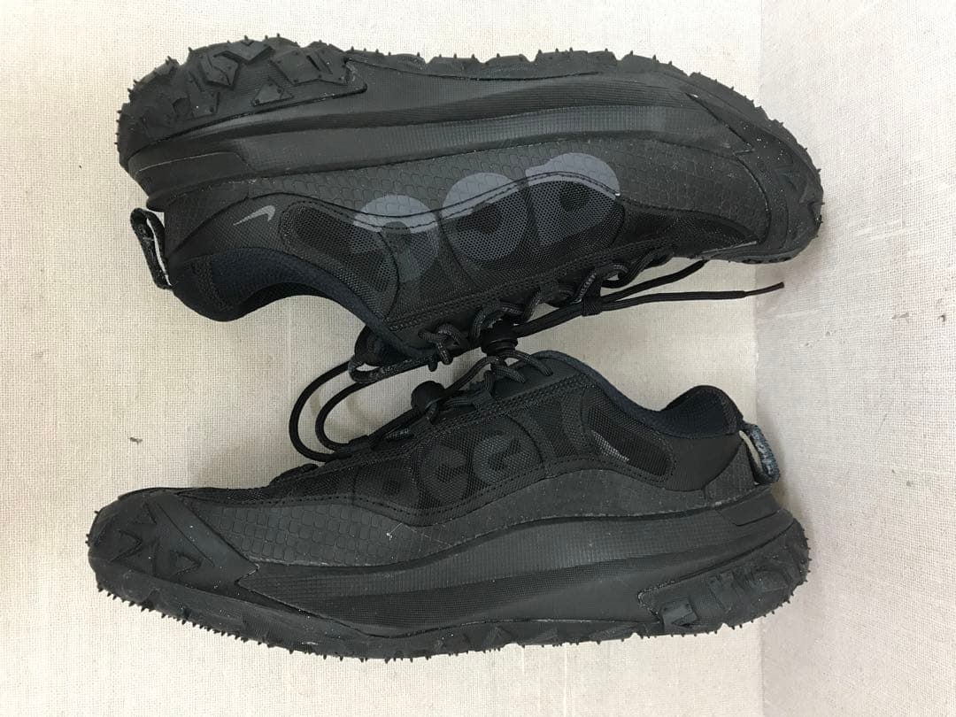 靴 NIKE ACG MOUNTAIN FLY 2 LOW L635