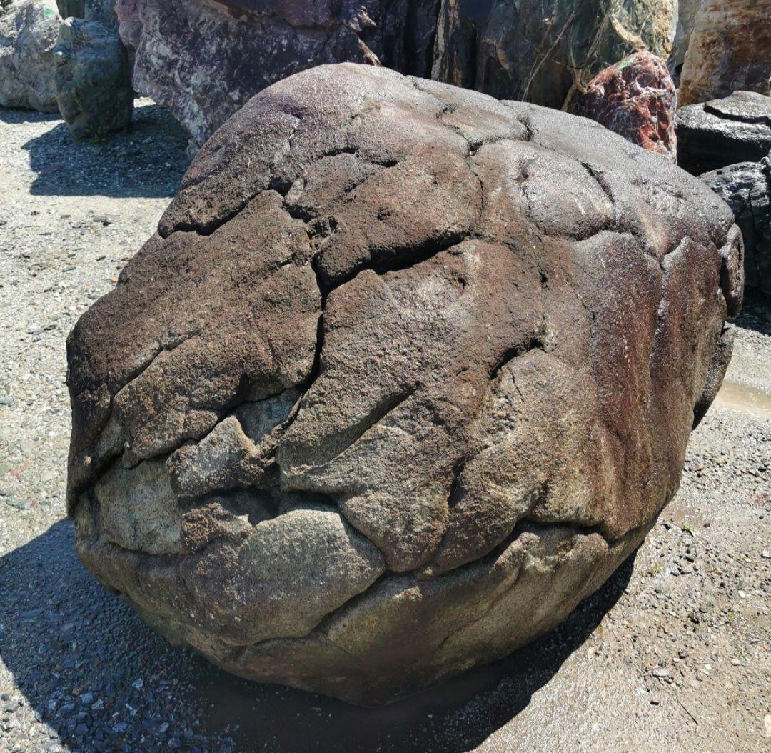 長野産　亀甲石　1.978キロ　庭石　石 鑑賞石　石材　庭　坪庭　ガーデニング