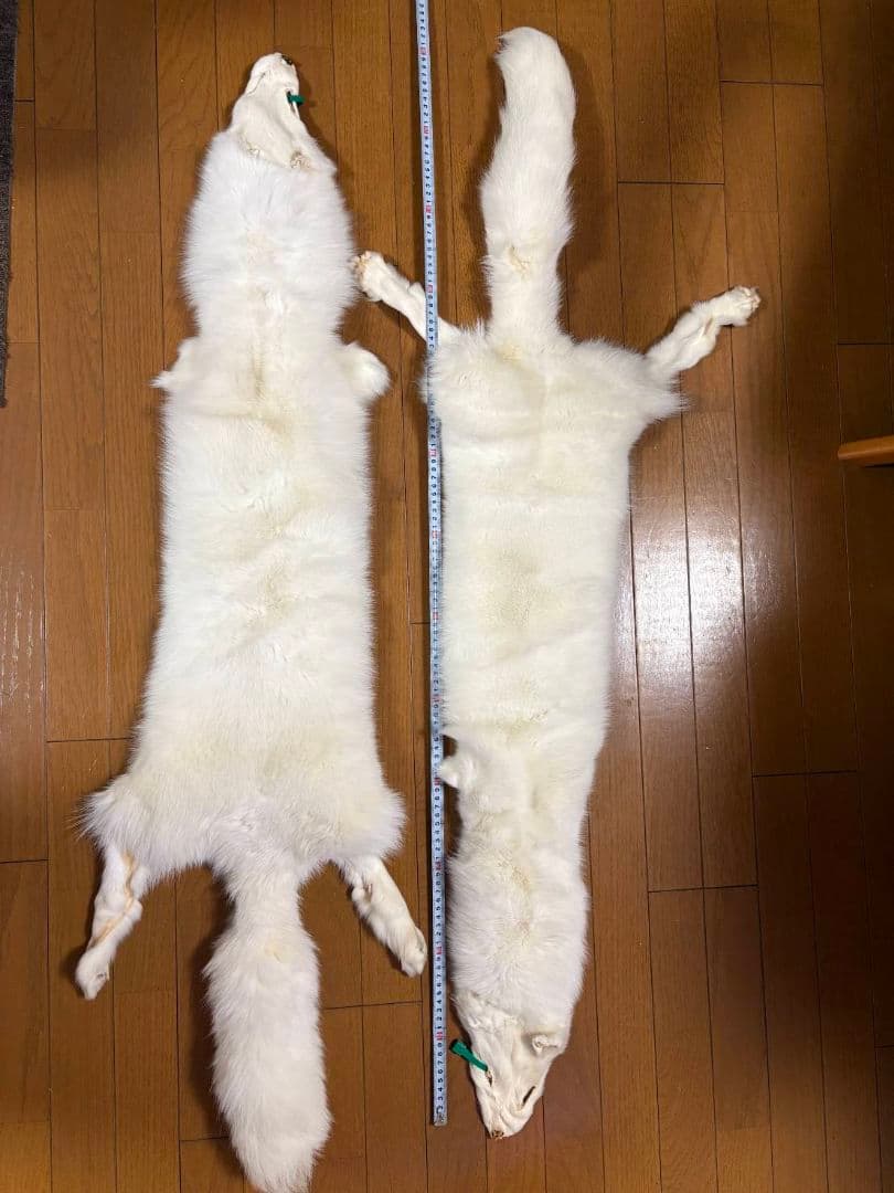 【値下げ】ホワイトフォックス　原皮