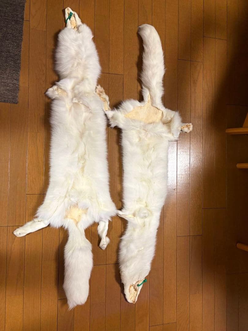 【値下げ】ホワイトフォックス　原皮