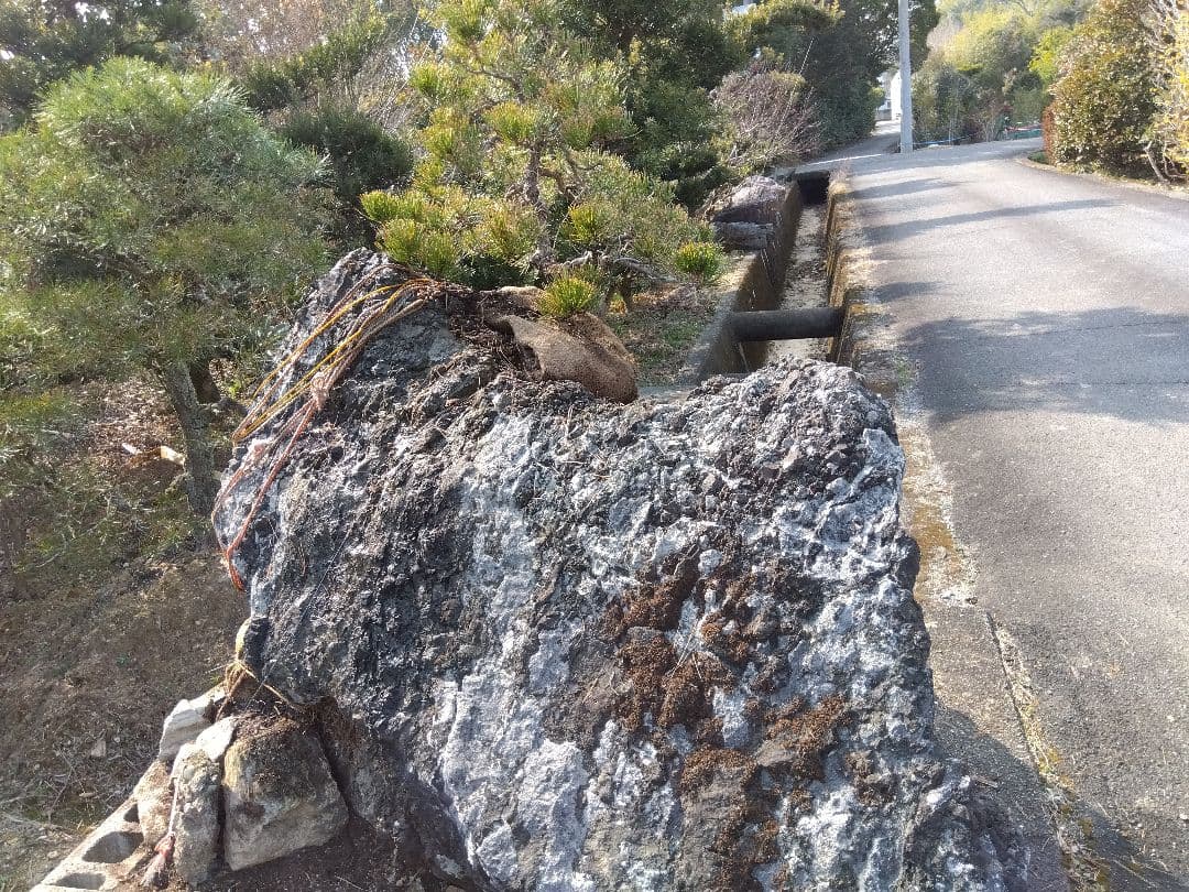 黒松付き、名石