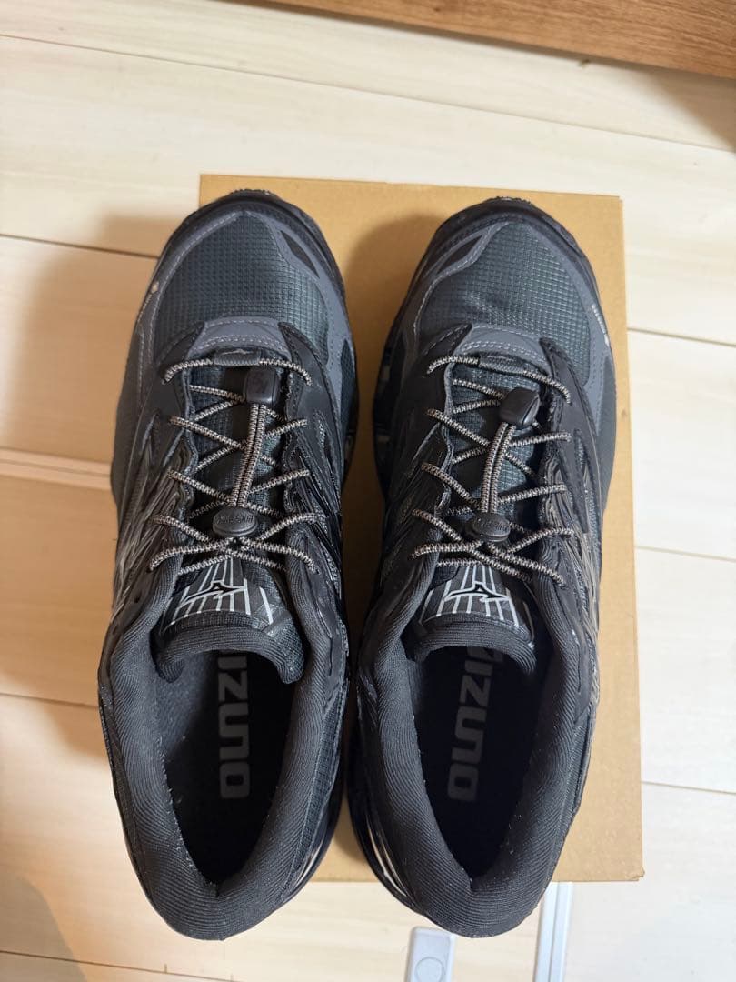 MIZUNO　WAVE PROPHECY LS GTX 28cm