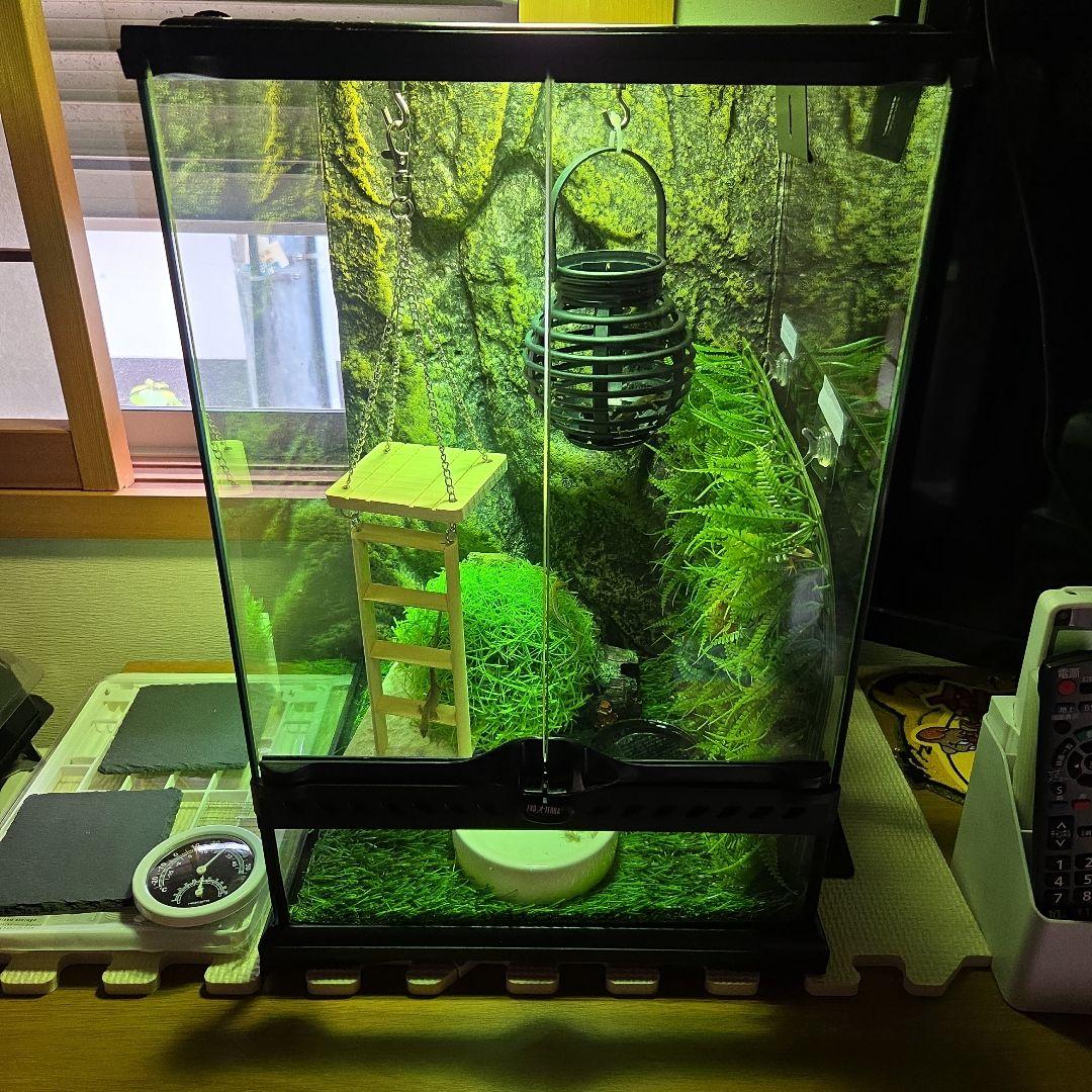 グラステラリウム　３０４５