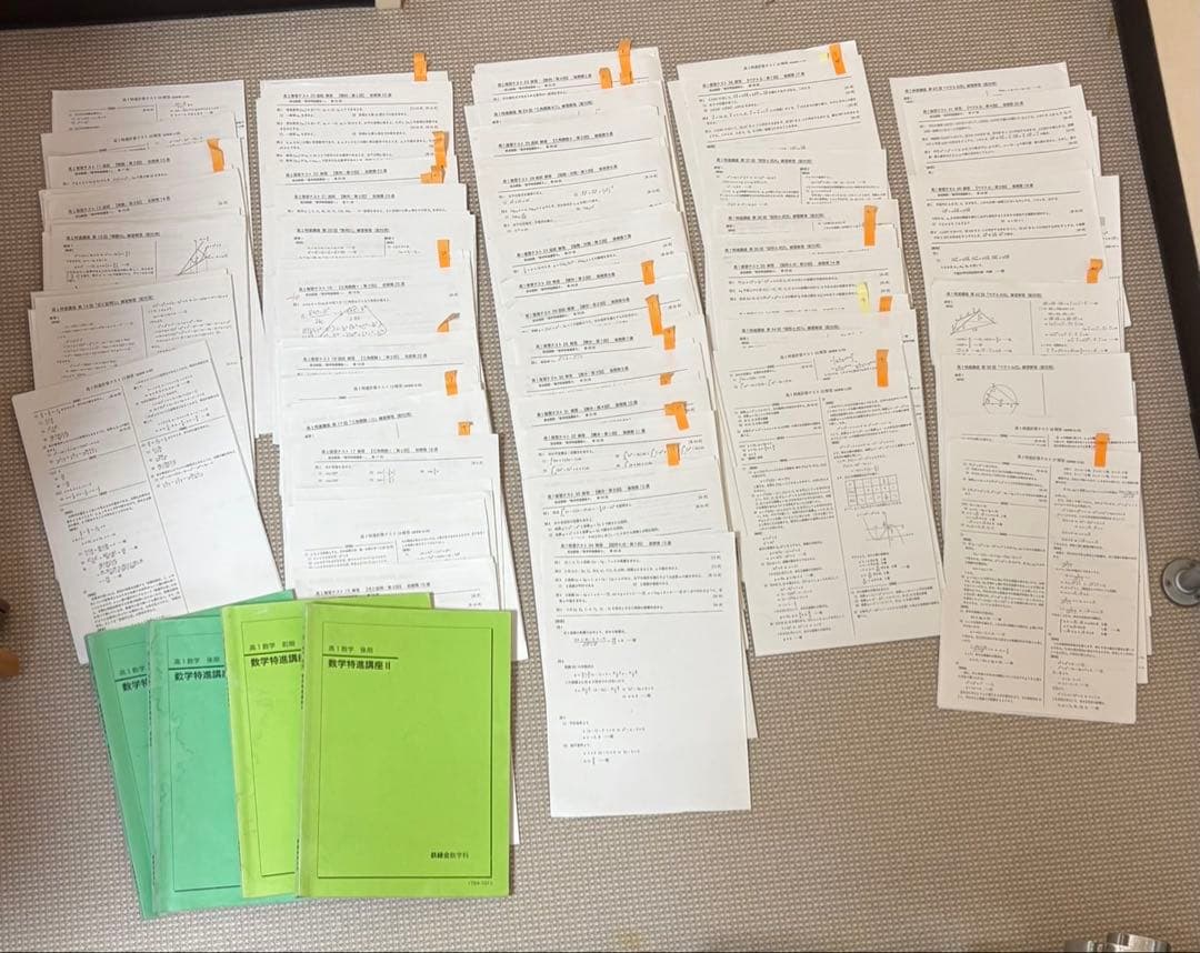 鉄緑会　2017年度　高1数学特進講座・問題集・授業プリント　前期・後期