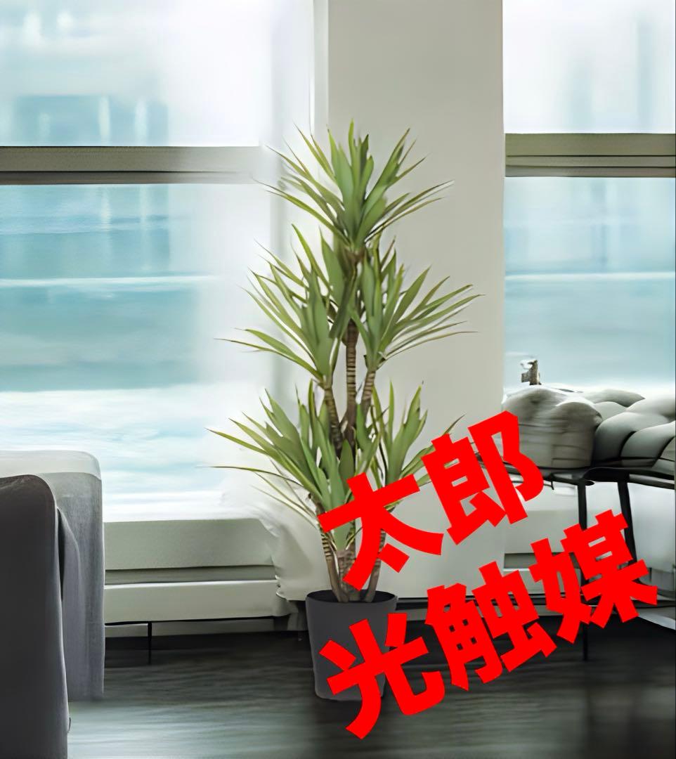 光触媒　人工観葉植物　ウォールグリーン　フェイクグリーン　アガベプラント110
