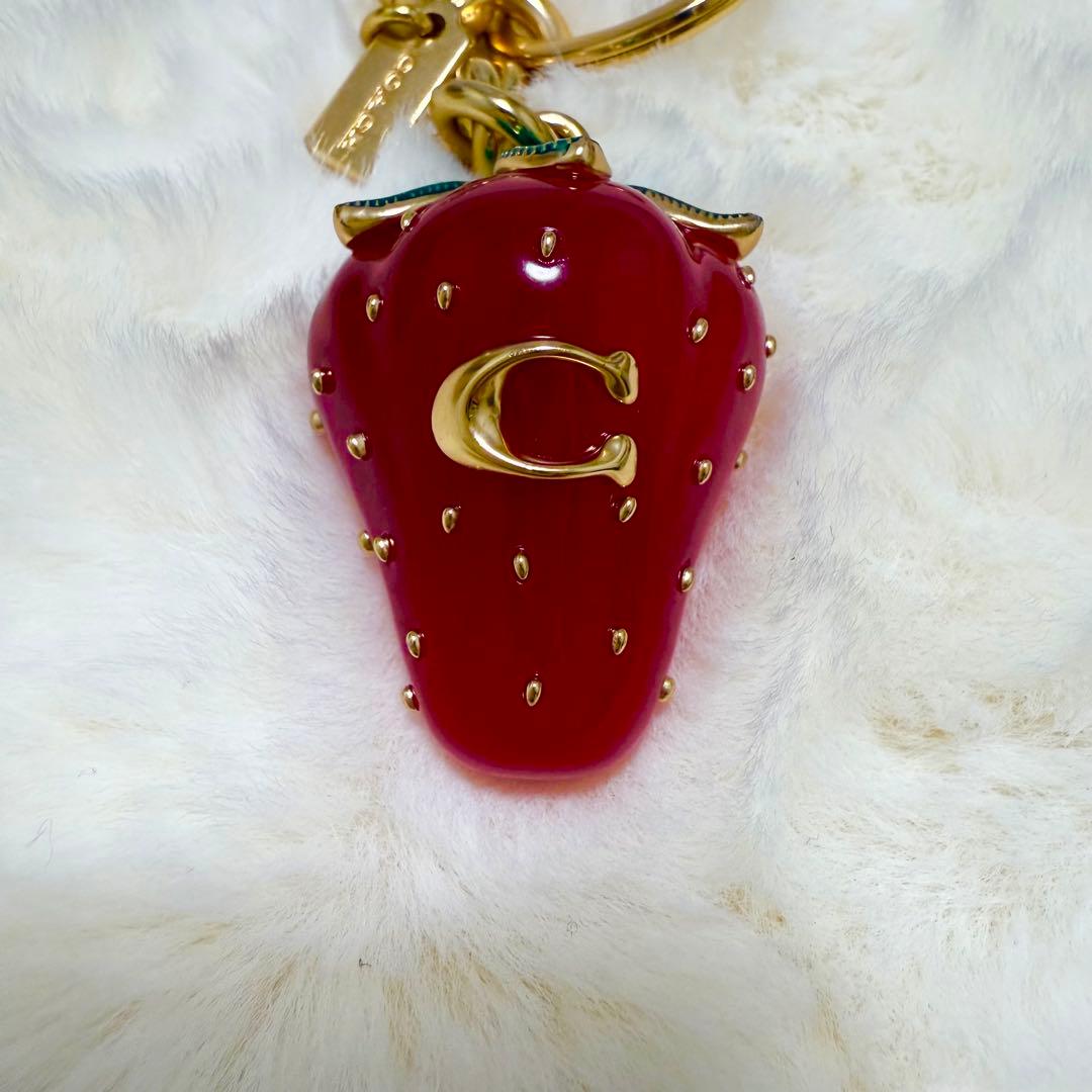 coach ストロベリー　バッグ　チャーム