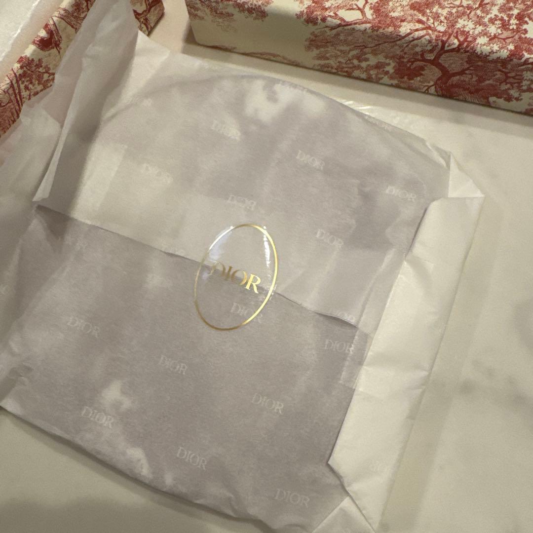 DIOR サイドプレート　2枚セット