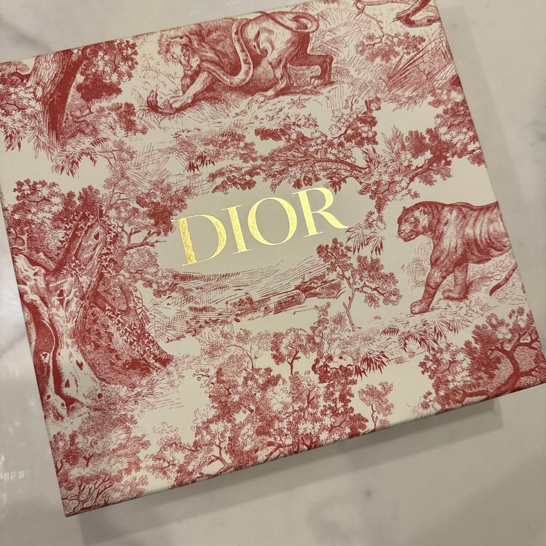 DIOR サイドプレート　2枚セット