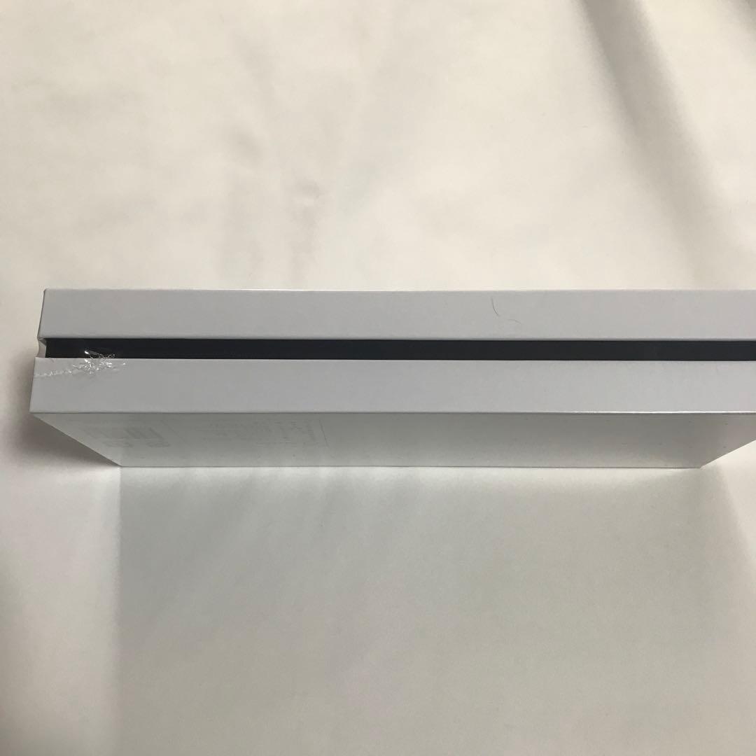 カラマンビューティーブラシ