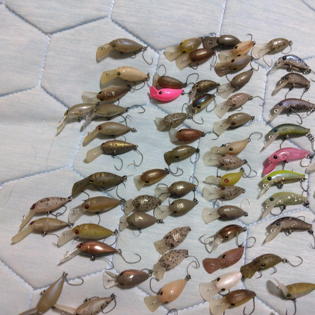 エリアトラウト引退　オリカラ大量　ロデオ、ディスプラウト、ティモン等