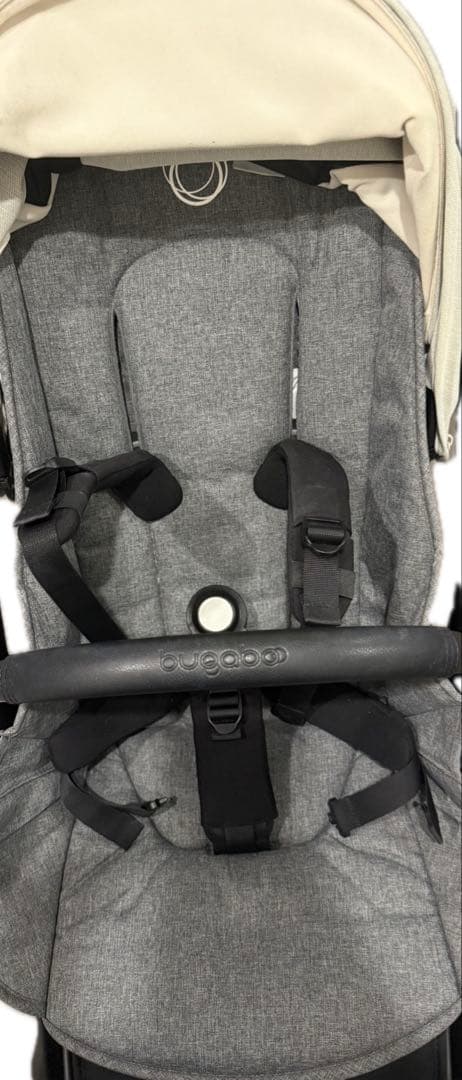 バガブードラゴンフライ　bugaboo