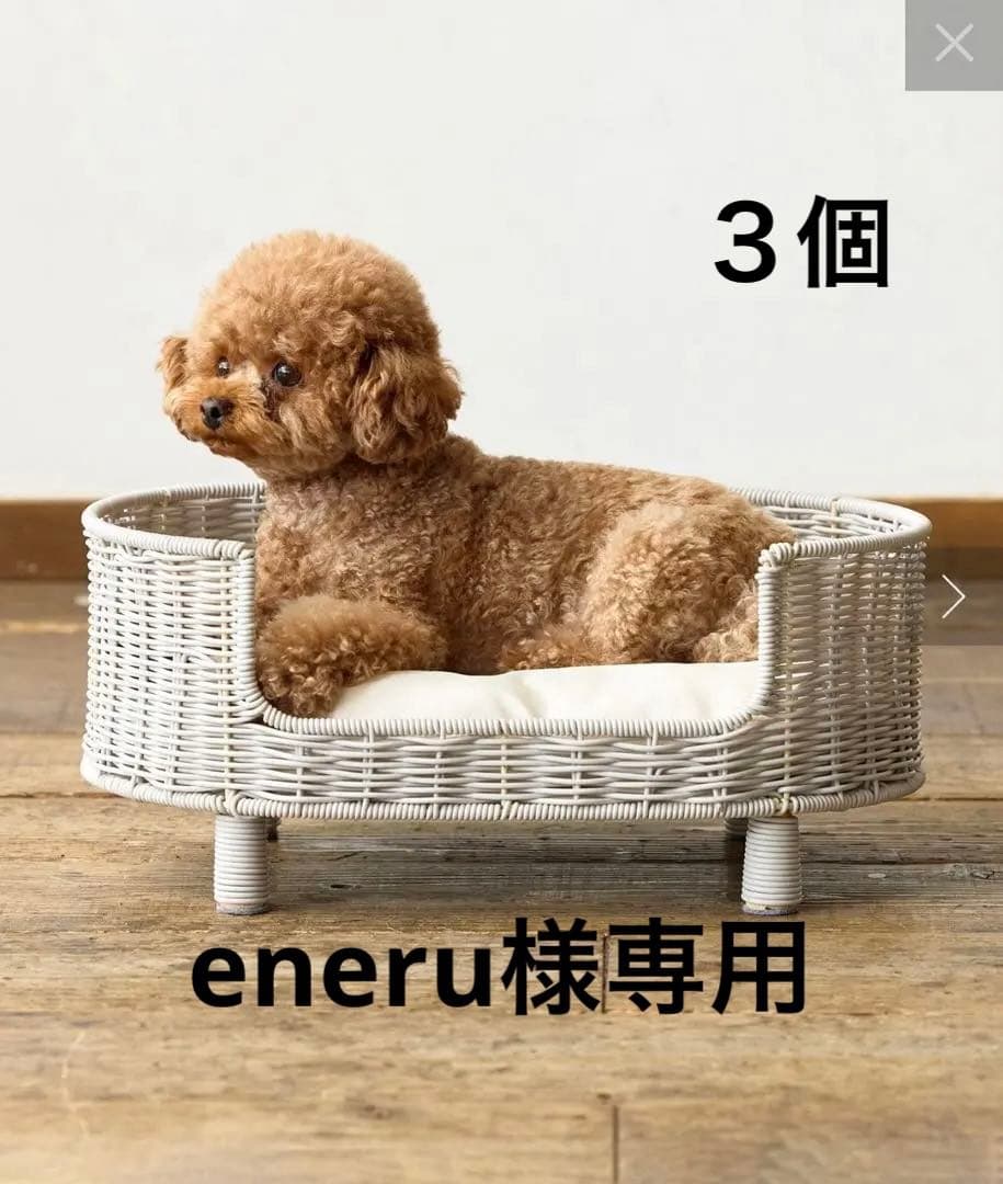 3COINS ラタン風ペットベッド 小型犬用✖️３個