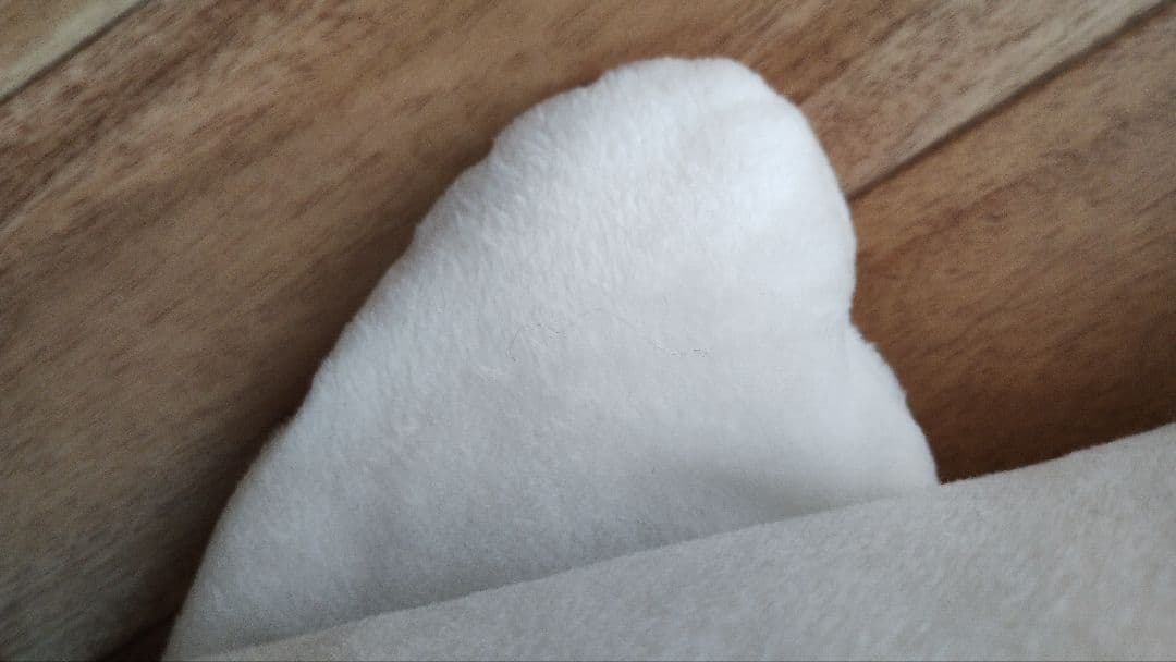 まめゴマ　しろごま　ぬいぐるみ　XL プレミアム　2018　サンエックス　特大