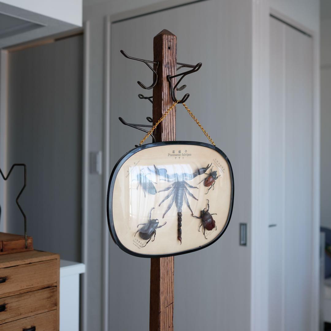 20世紀前期 アメリカ アンティーク 木製 ハンガー スタンド ヴィンテージ