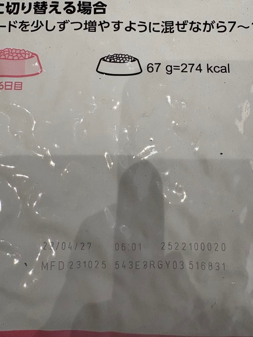 ロイヤルカナン  CANIN 子猫用成長後期ドライフード 10kg