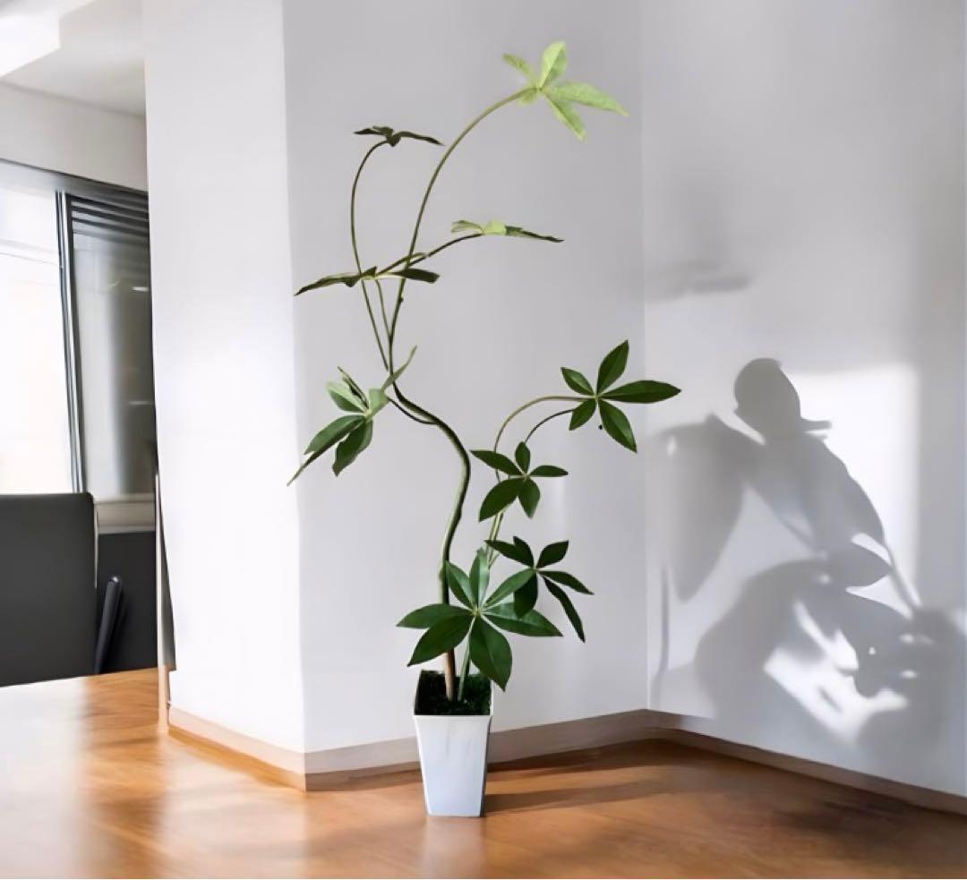 光触媒　人工観葉植物　ウォールグリーン　フェイクグリーン　くねくねパキラj