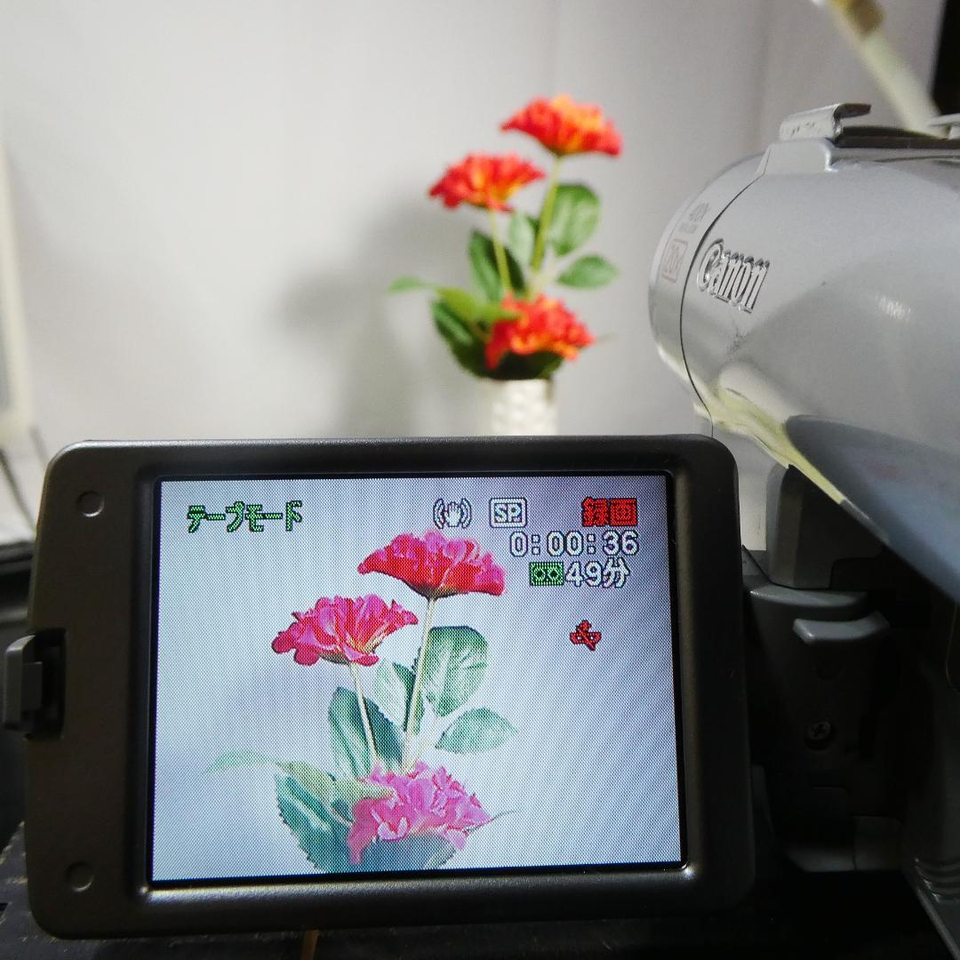 動作良好 キャノン DM-FV M200 MiniDVビデオ DVDダビングに