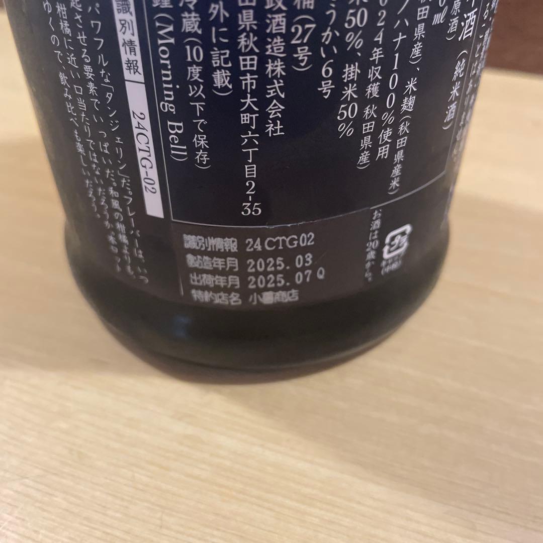 新政　タンジェリン　2024