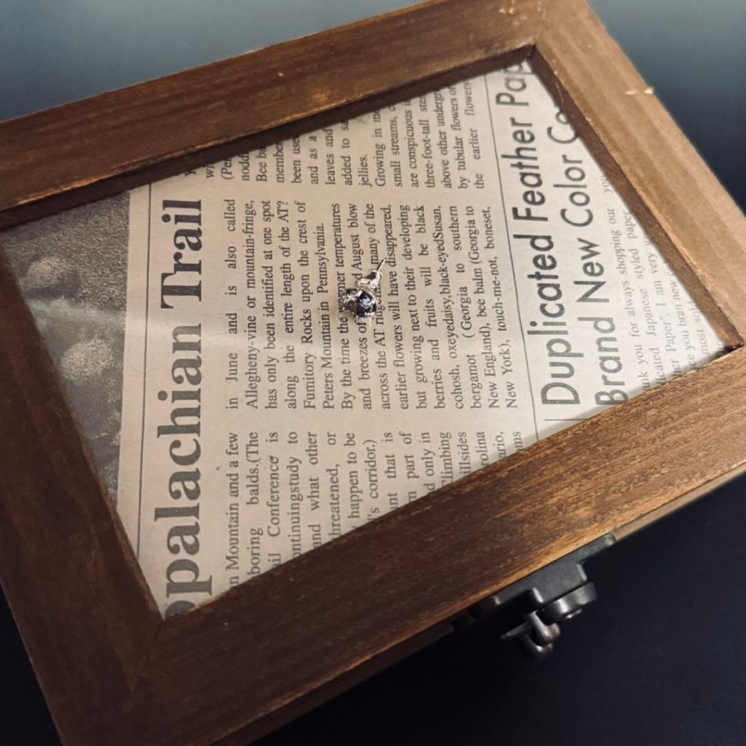 【希少品】Garni ガルニ ピアス デュエットストーン