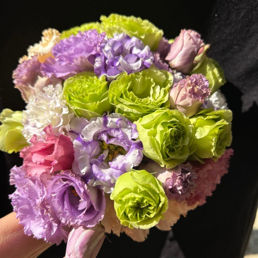 トルコキキョウ　ユーストマ苗　お問い合わせ用　１セット１６本