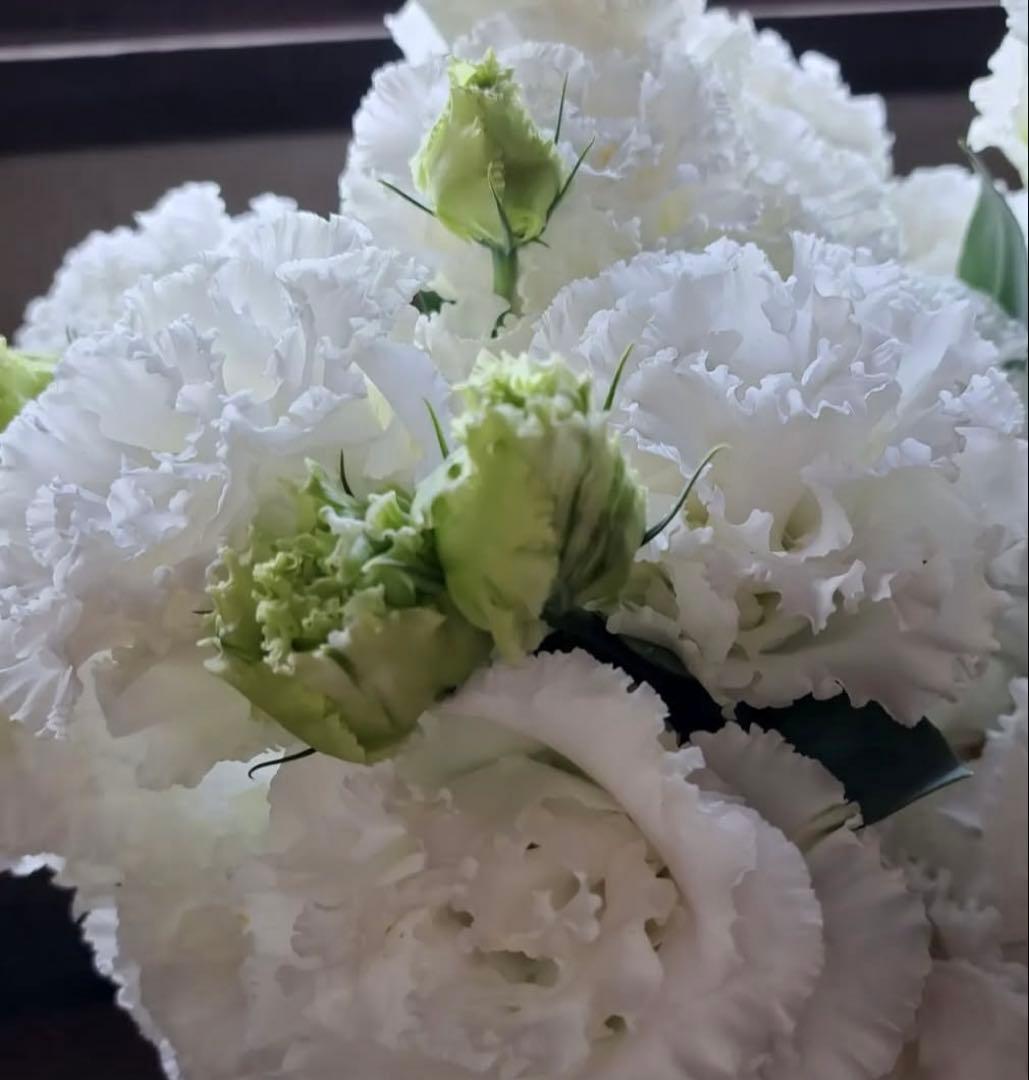 トルコキキョウ　ユーストマ苗　お問い合わせ用　１セット１６本