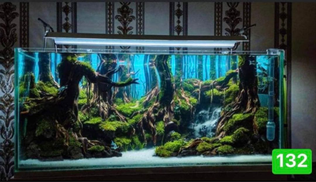 TTD 1326【⭐︎ 凡骨様⭐︎】【美品・数量限定】