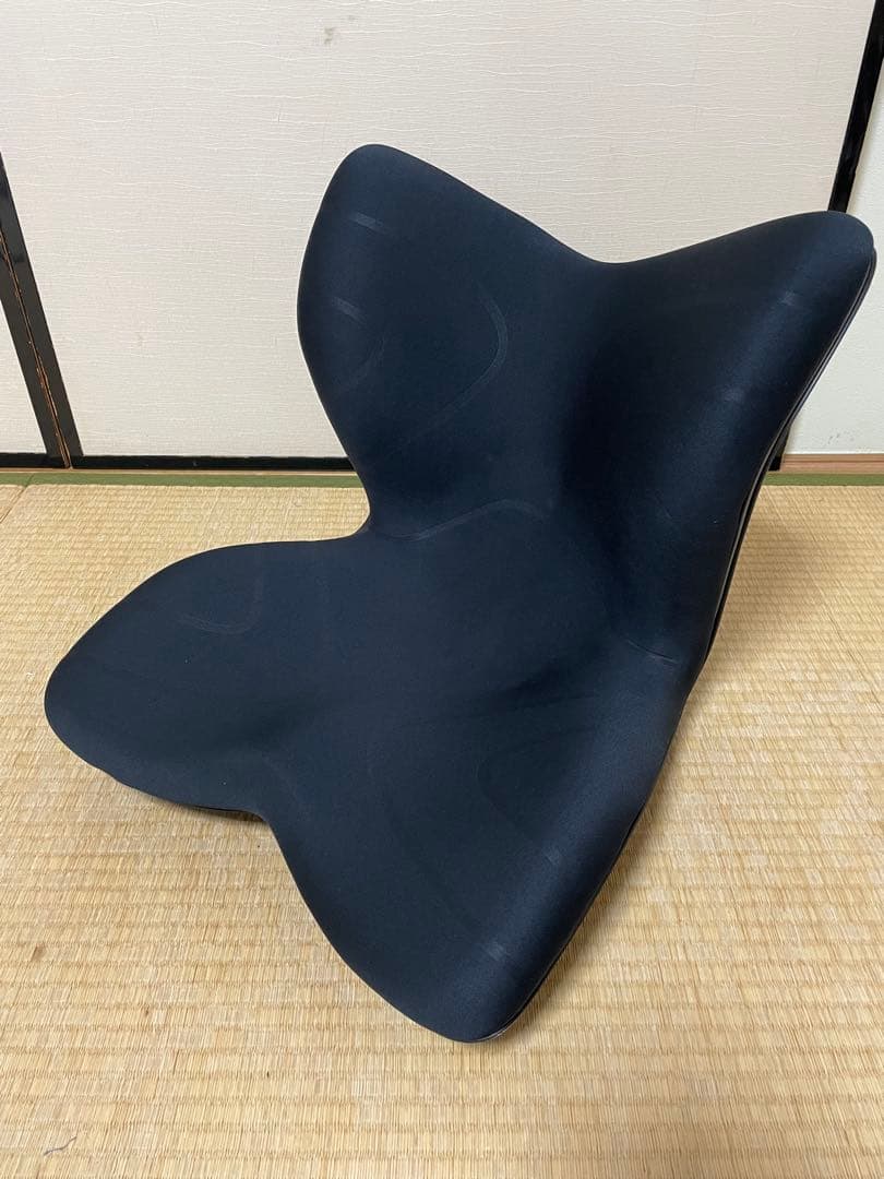 MTG Style スタイルプレミアム 姿勢矯正椅子