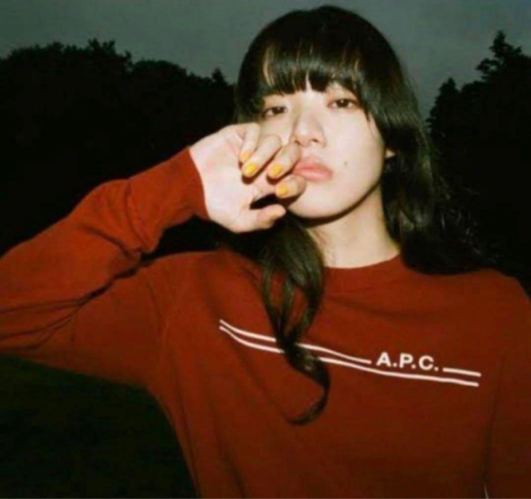 【希少】あいみょん着用！APC ロゴ　カシミヤニットセーター　A.P.C