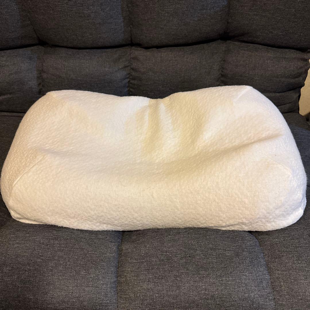 ヒツジのいらない枕　BIGサイズモデル (極柔) テンセル枕カバー付き