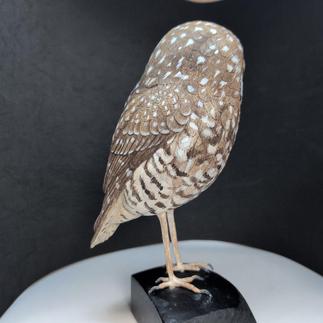 木製　アナホリフクロウ　野鳥彫刻　バードカービング　木彫りの野鳥