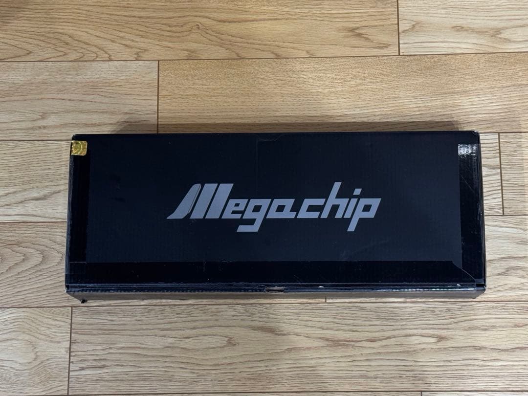 Megachip シビックタイプR FL5 スプラッシュガード