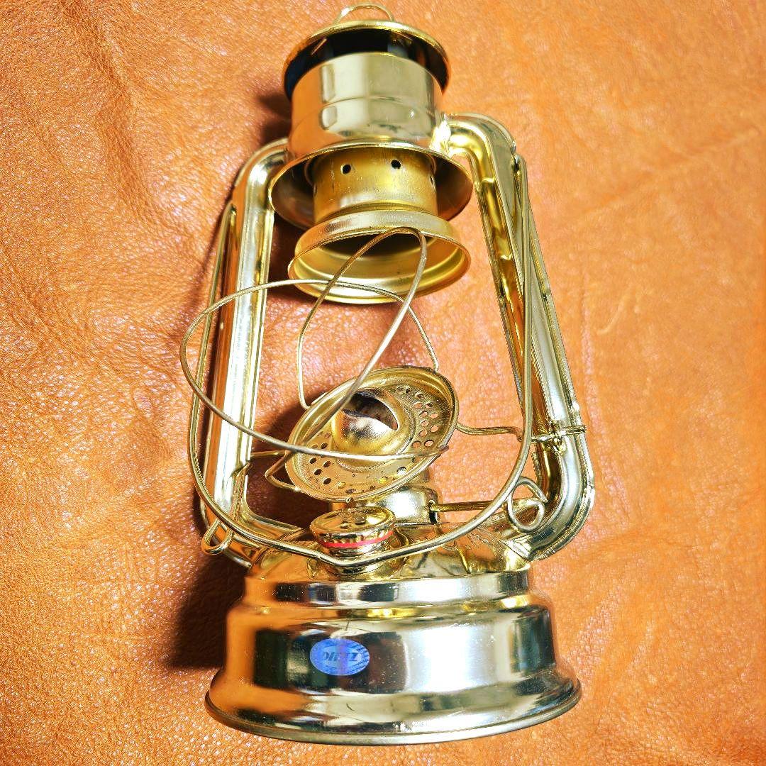 iwatadenki 限定グリーンホヤ　デイツランタン78　その他ホヤ