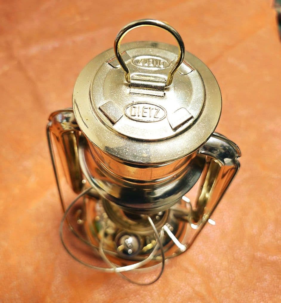 iwatadenki 限定グリーンホヤ　デイツランタン78　その他ホヤ