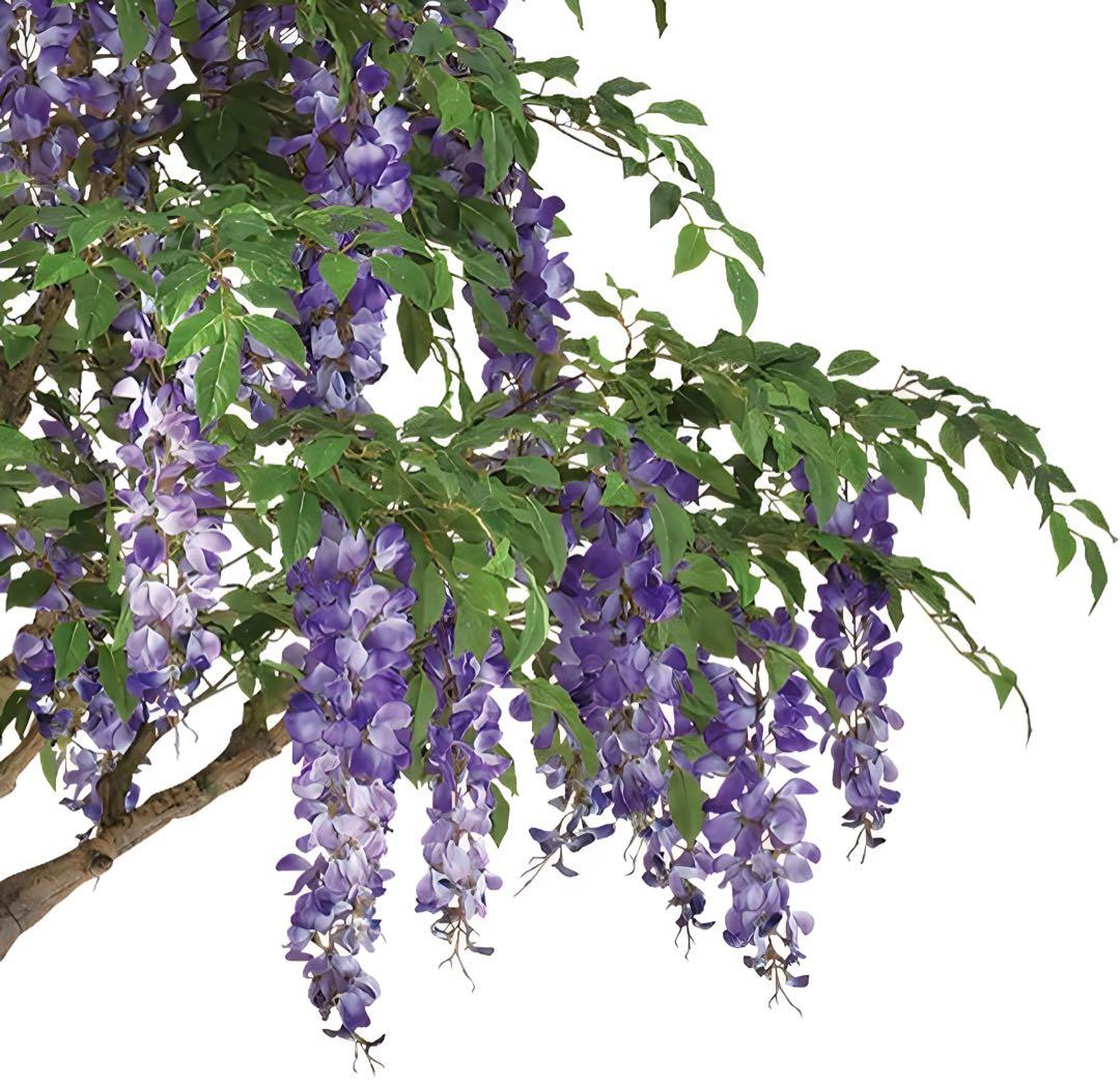 光触媒　人工観葉植物　ウォールグリーン　フェイクグリーン　藤コアッド200