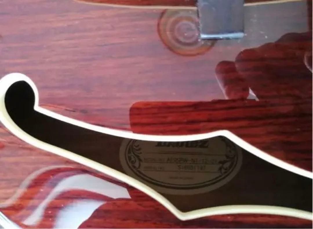 だ*く様 ibanez AF95RW アイバニーズ フルアコースティックギター
