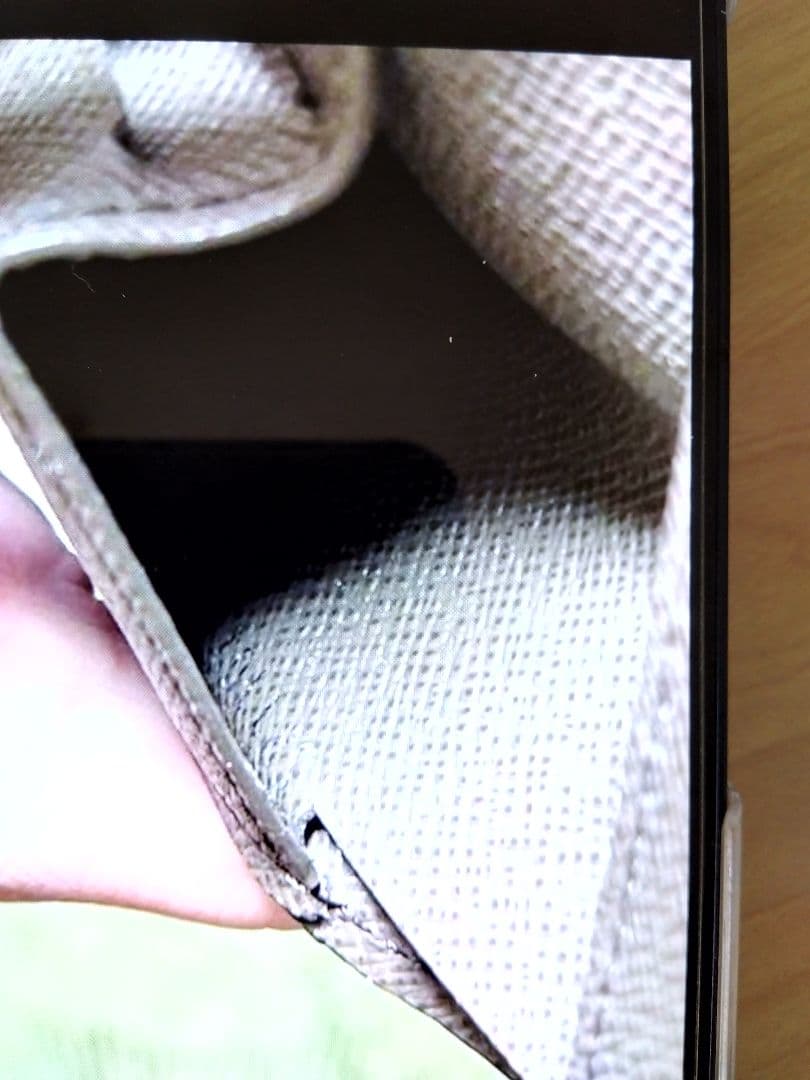 ルイ・ヴィトンタイが財布