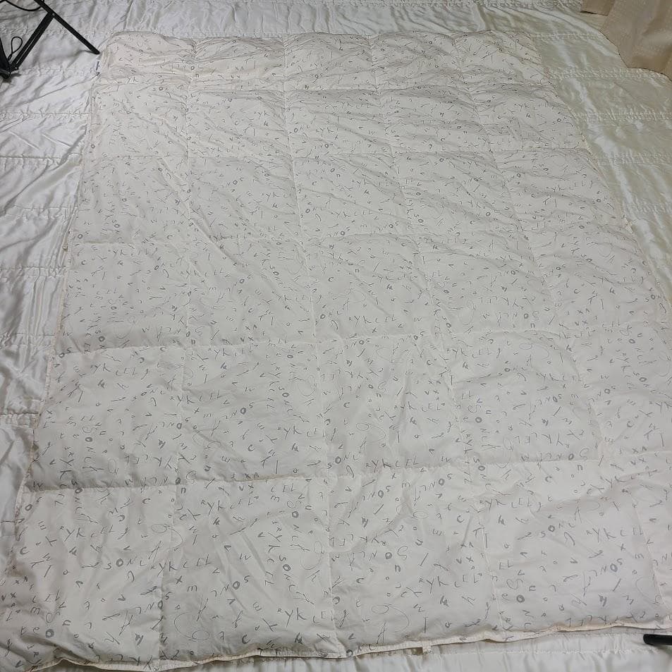 ロマンス小杉 SONIA RYKIEL 肌掛け羽毛布団ダウンケット◇シングル