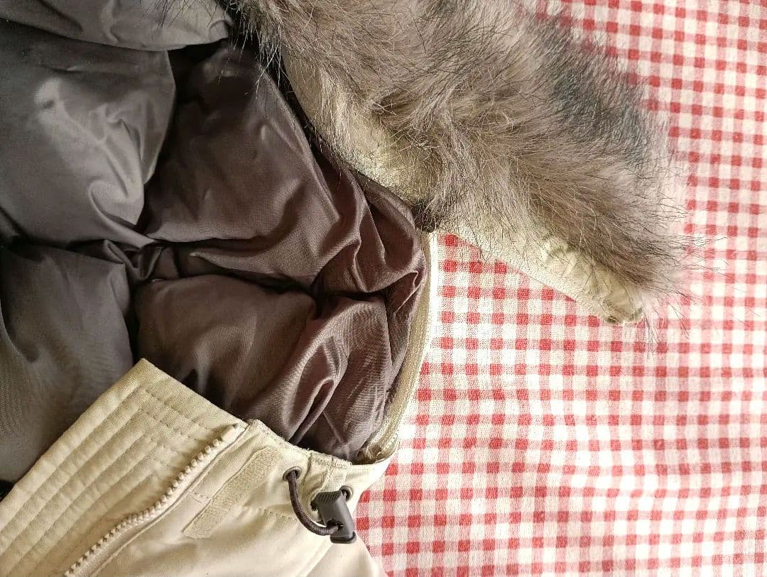 THE NORTH FACE ダウンジャケット Mサイズ レディースヴィンテージ