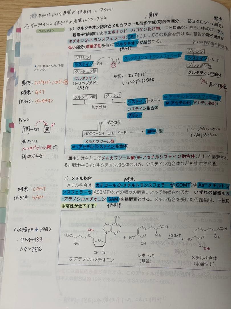 【薬ゼミ1年コース】第109回 青本 青問 薬剤師国家試験対策参考書