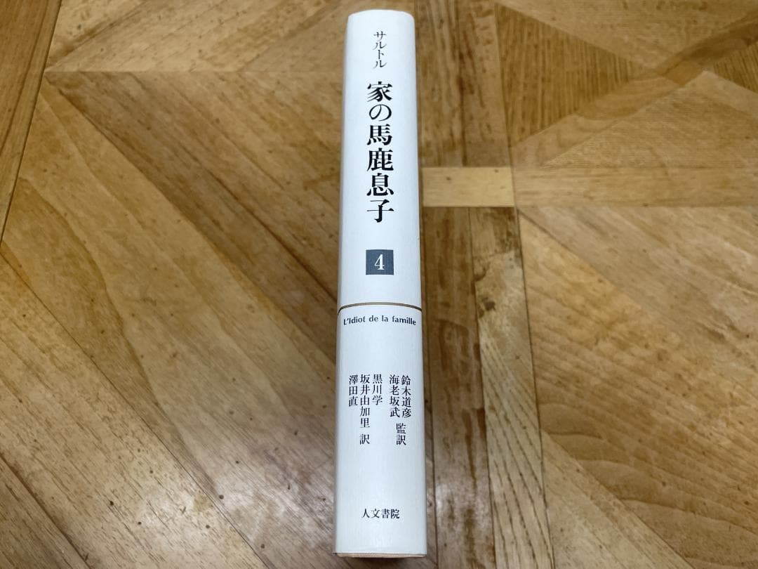 【未使用に近い】家の馬鹿息子 ４ / サルトル
