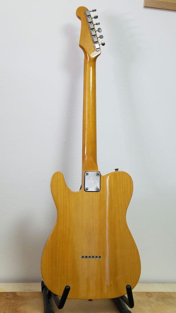 Brian by Bacchus テレキャスターカスタムタイプ エレキギター