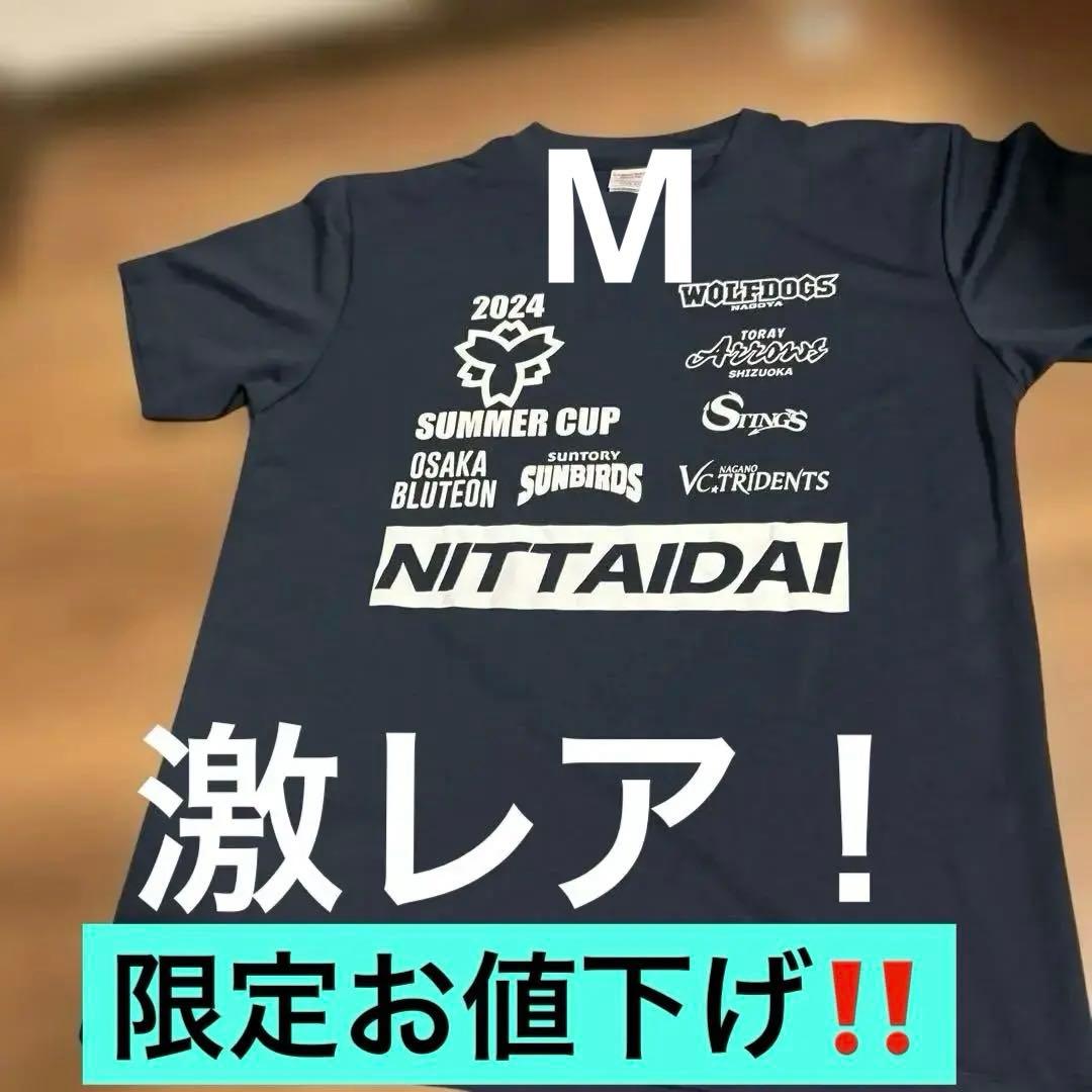 日体大2024SUMMERCUP 非売品