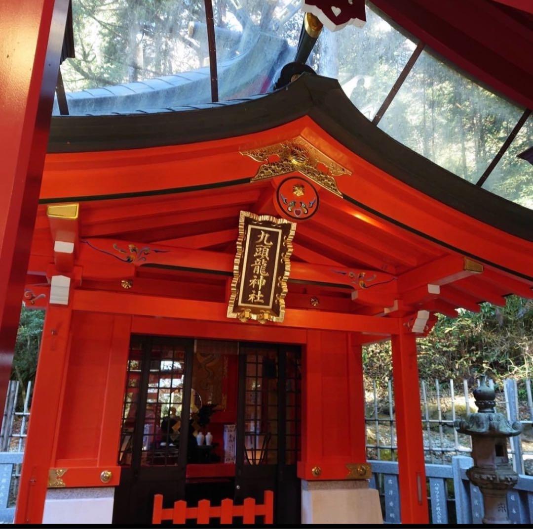 最強財運招来〜お金をグッと引き寄せた手⭐️龍体文字フトマニ図＆蝶々　元宝付き