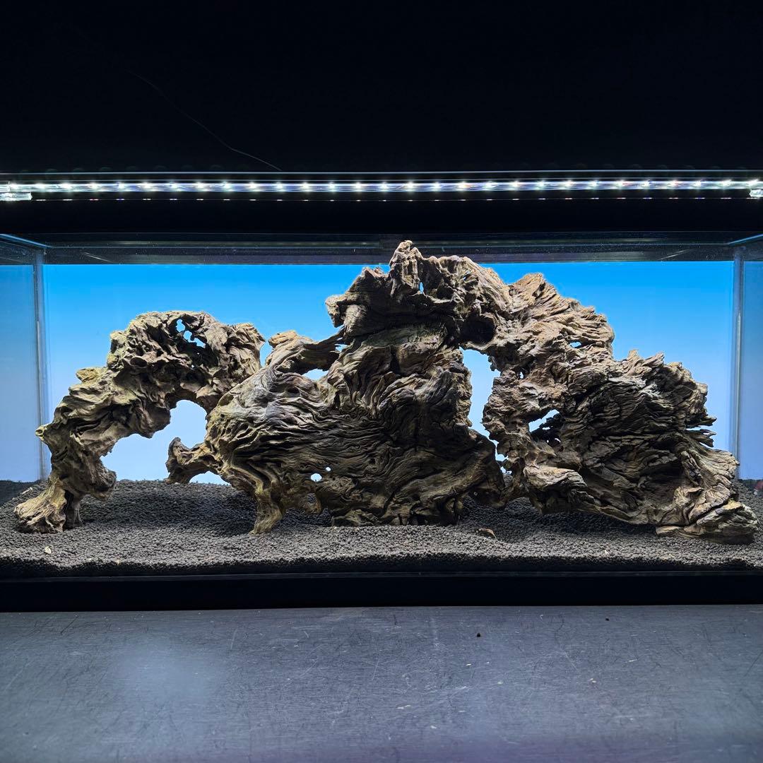 MJW-7236 「特大」ジンジャーウッド　90cm水槽用　天然流木3本セット