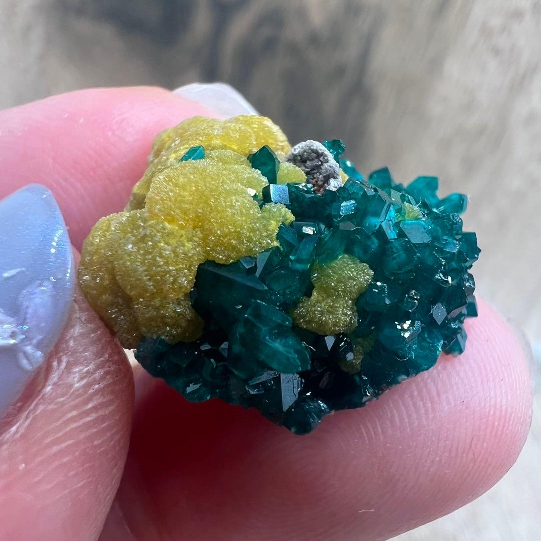 ダイオプテーズ ミメタイト 共生 鉱物 標本 原石