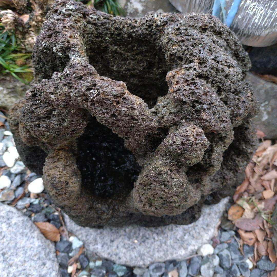 黒い溶岩石 水槽用石 大型