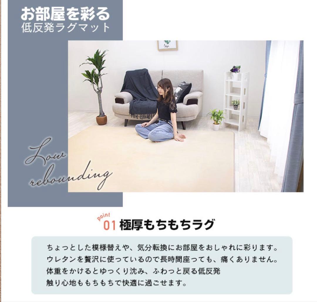 【美品】低反発ラグマット200x300cm 極厚25mm 撥水・抗菌・防ダニ加工