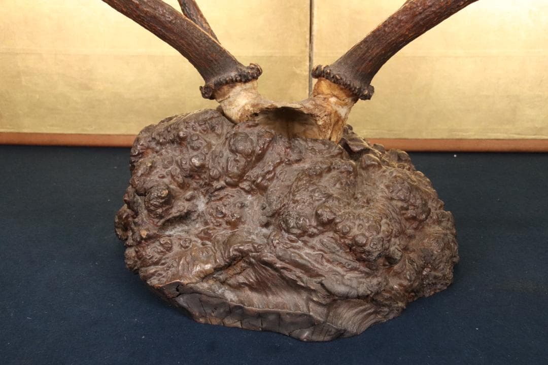 KS　刀掛け　鹿角 刀掛台 天然瘤木台座 　幅約45㎝ 高さ約60㎝