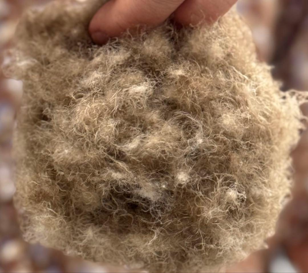 最高級　アイダ―ダウン　羽毛合い掛け布団 羽毛掛け布団　アイダーダック