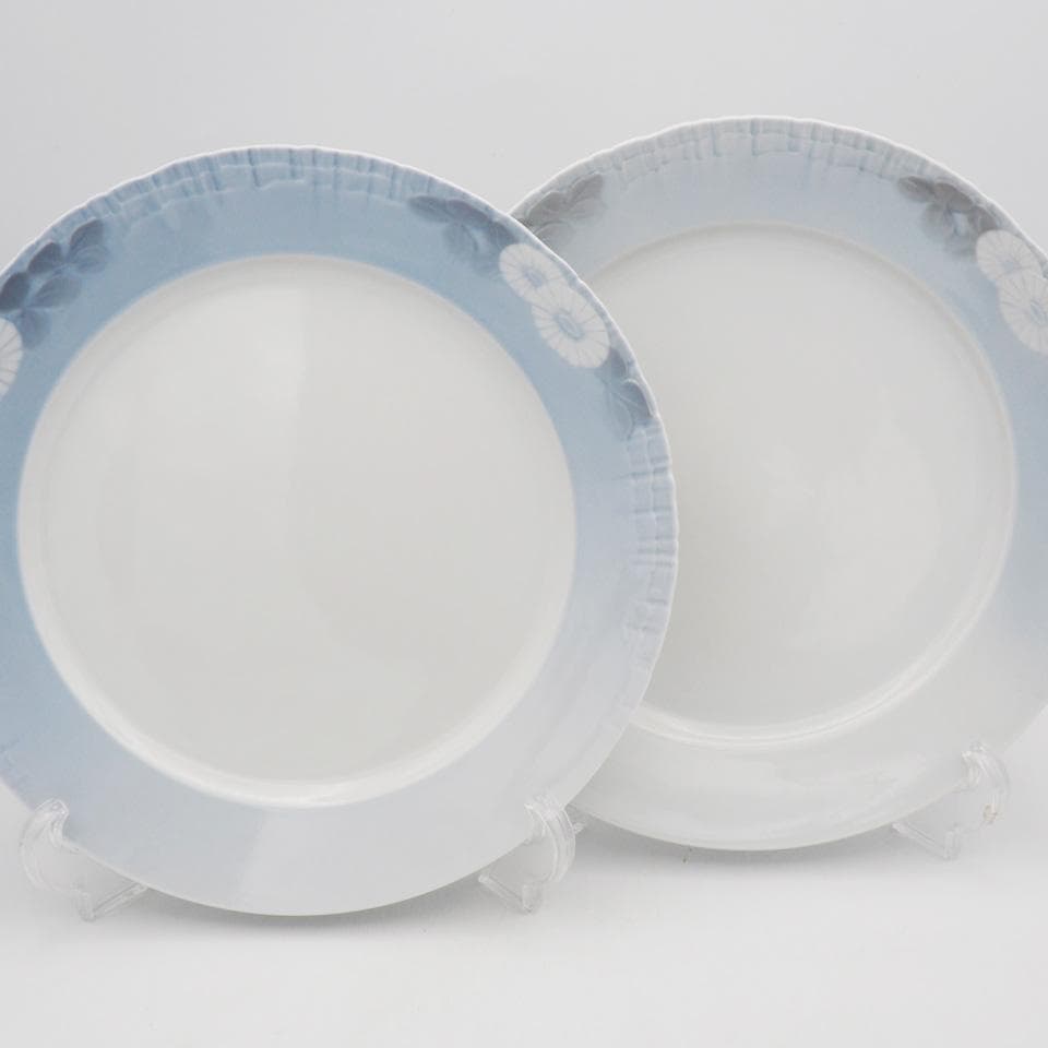ロイヤルコペンハーゲン ミッドサマーナイトドリーム 25cmプレート ペア #3